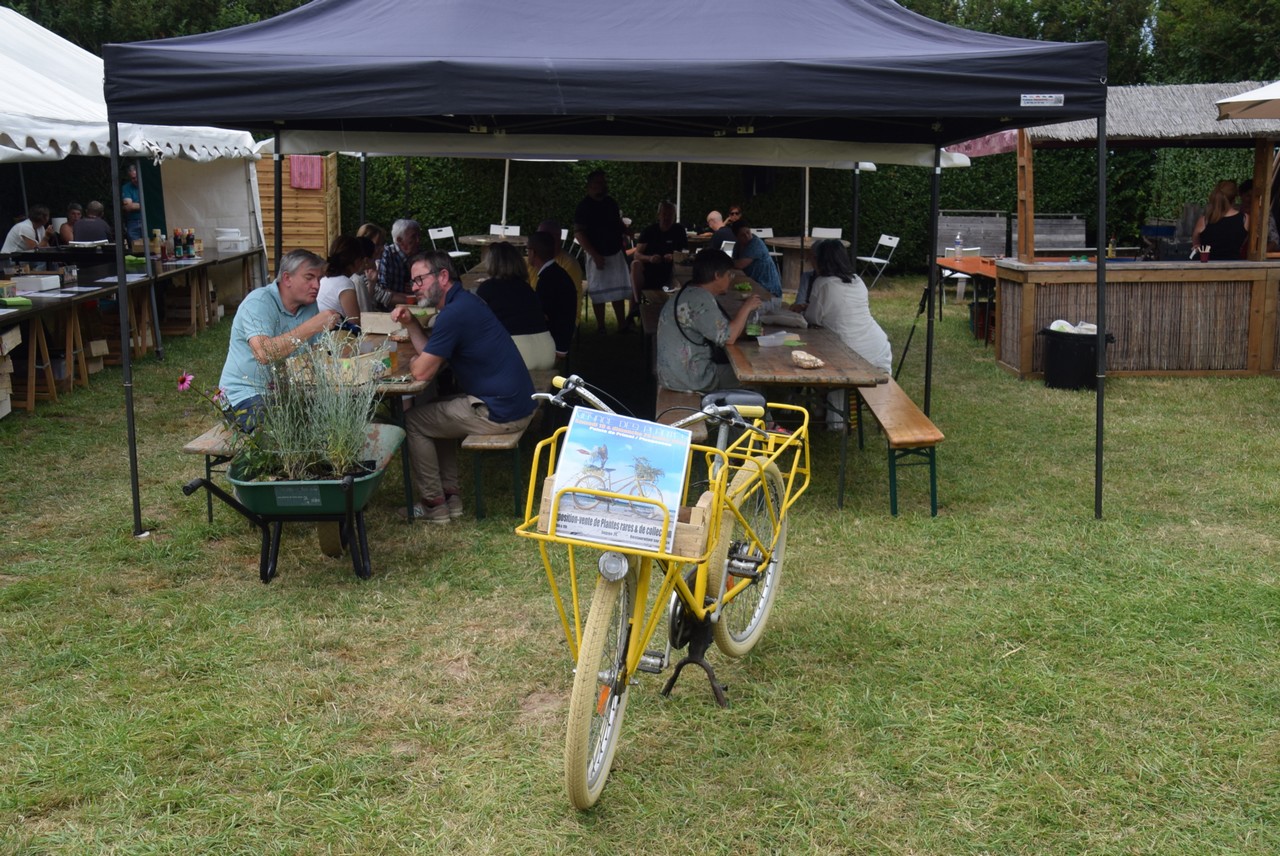 15e voyage des Plantes Pointe de Primel-Tr�gastel le 19 juillet 2025. Photo pyb29