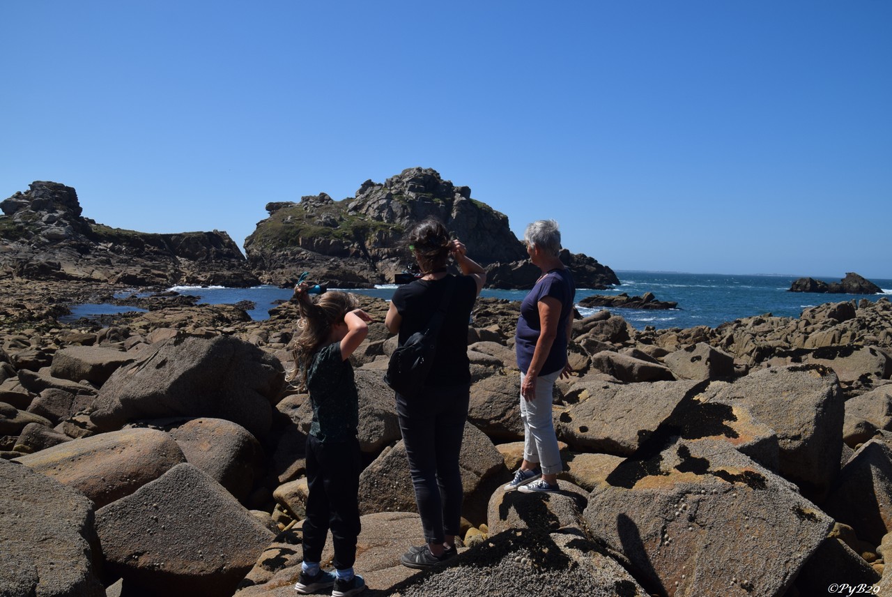Pointe de Primel le 10 ao�t 2025. Photo pyb29