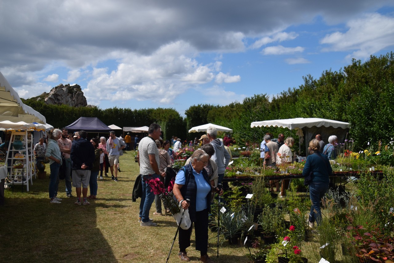 15e voyage des Plantes Pointe de Primel-Tr�gastel le 20 juillet 2025. Photo pyb29